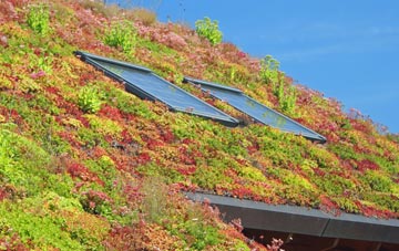 Redlands living roof systems