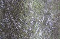 Redlands fibreglass roof work